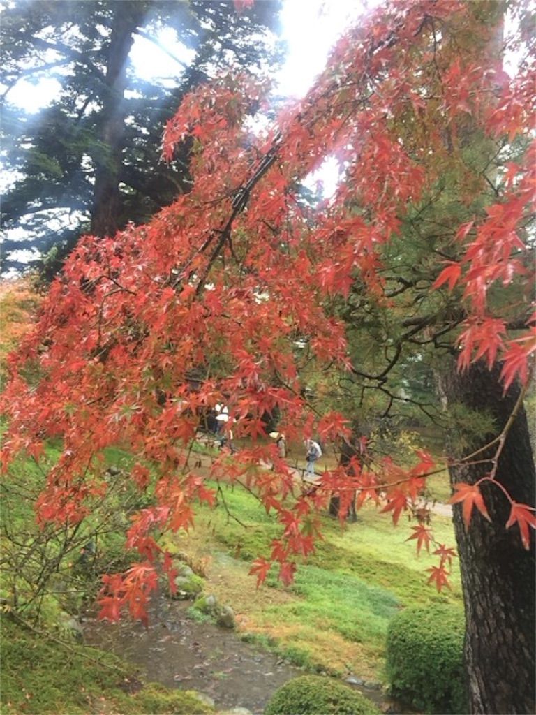 f:id:imoto07:20151119131623j:image f:id:imoto07:20151119131623j:image