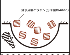 step_img04