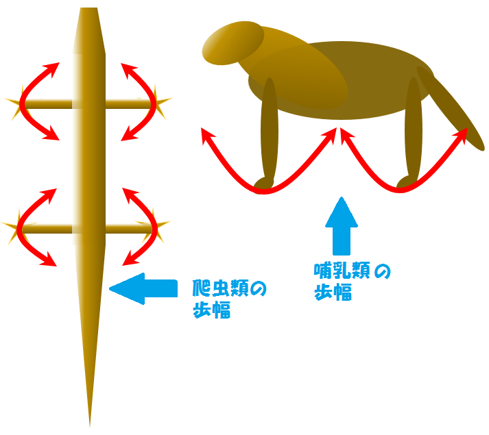歩き方（歩幅）