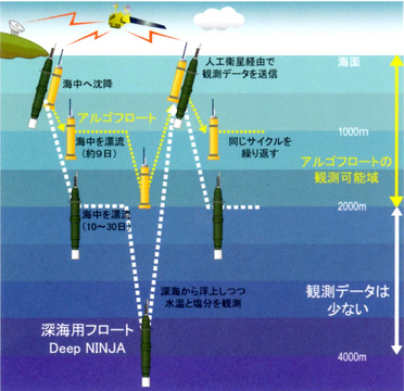アルゴフロート観測パターン
