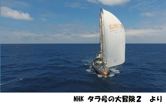 タラ号の大冒険２