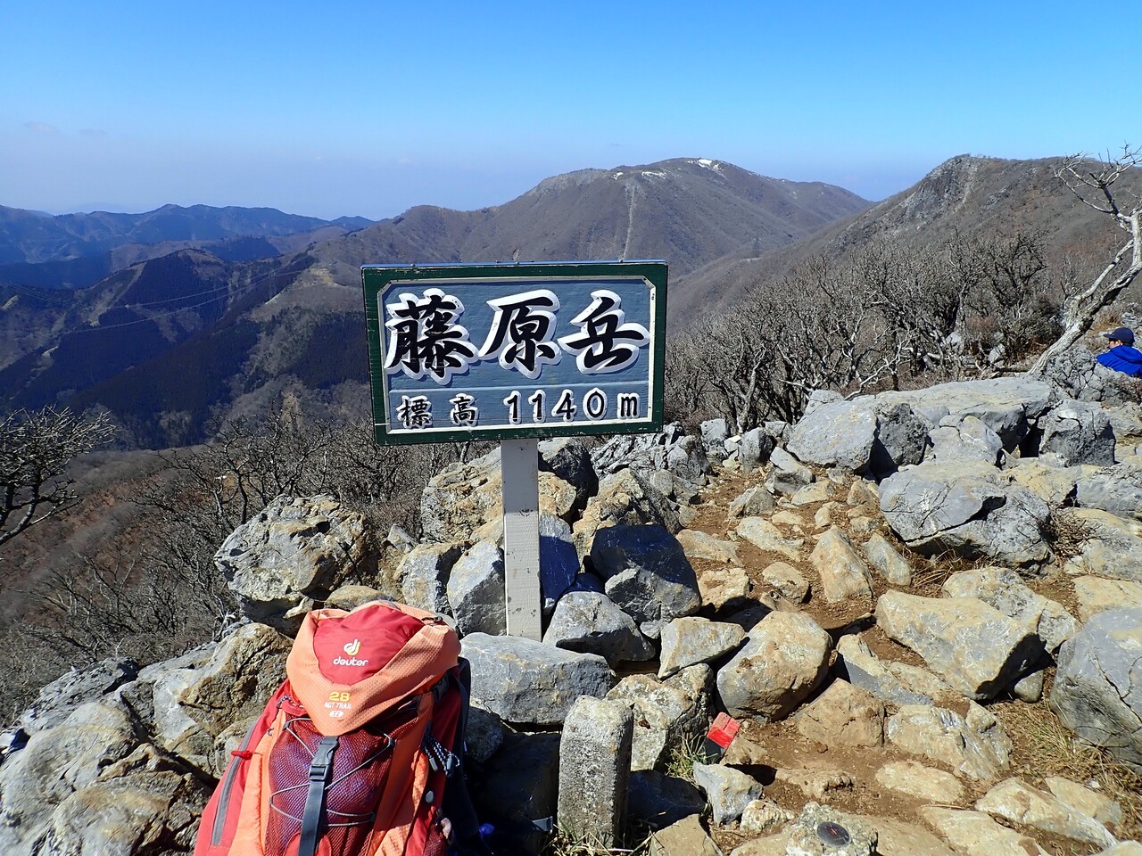 藤原岳 山の草木に息吹を与える風