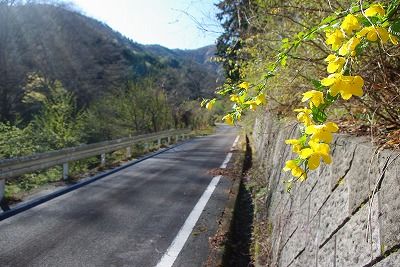 イメージ 13