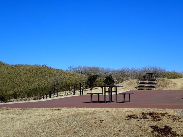 P2199212