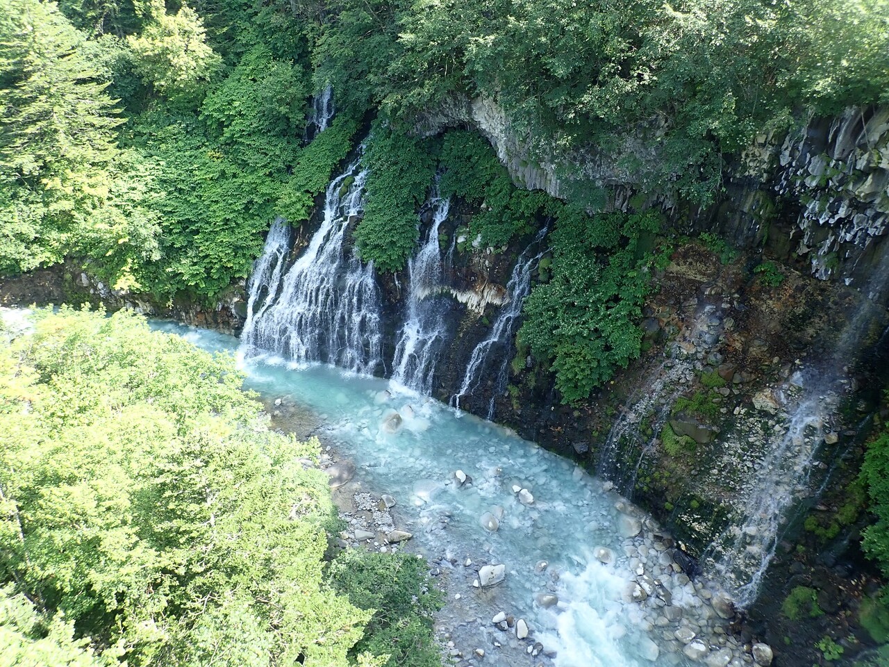 北海道10日目 山の草木に息吹を与える風 北海道10日目 山の草木に息吹を与える風