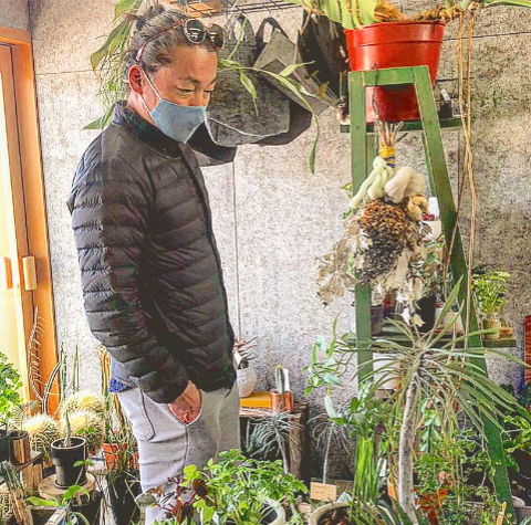 花屋