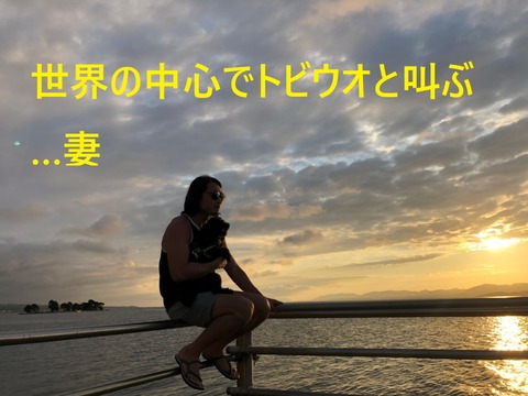 トビウオ