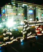 031225_2229~01.jpg