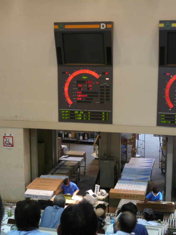 東京フラワーポート イナバの花