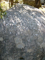 akatsukitei30603.jpg