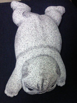 st_dog02