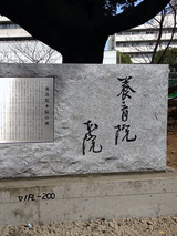 shibusawa003