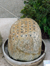 kaki110402.jpg