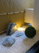 hakone111902.jpg