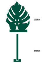 monstera02.jpg