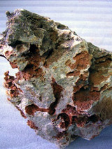 turco32503.jpg