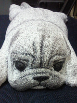 st_dog03