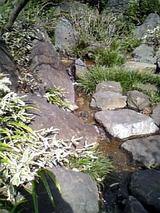 niwa02.jpg
