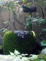 tyozubati002.jpg