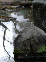 tetsugaku010903.jpg