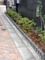kugiriishi002