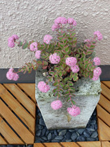 taniku102001.jpg