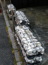 cage06001