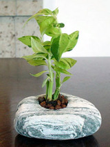 minigreen.jpg