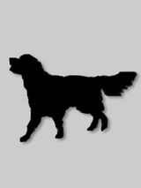 st_inu8803.jpg