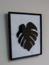 monstera091701.jpg