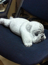 st_dog01