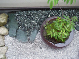 balniwa02.jpg