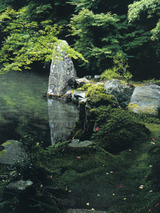 kyouto102202.jpg