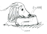 cuore02.jpg
