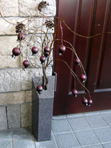 genkannishi012102.jpg