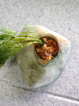 mizukusa52001.jpg