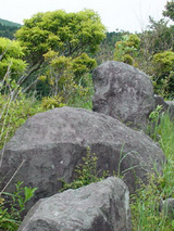 hakone51801.jpg
