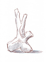 ryuboku02