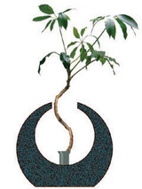 tsukikaki6602.jpg