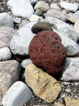 hayakawa32602.jpg