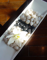 tamajarihana61002.jpg