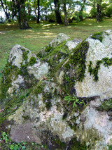 yama82805.jpg