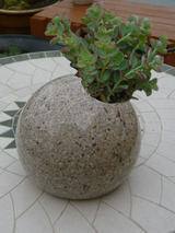 hanatama061003.jpg