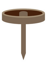bird012801.jpg