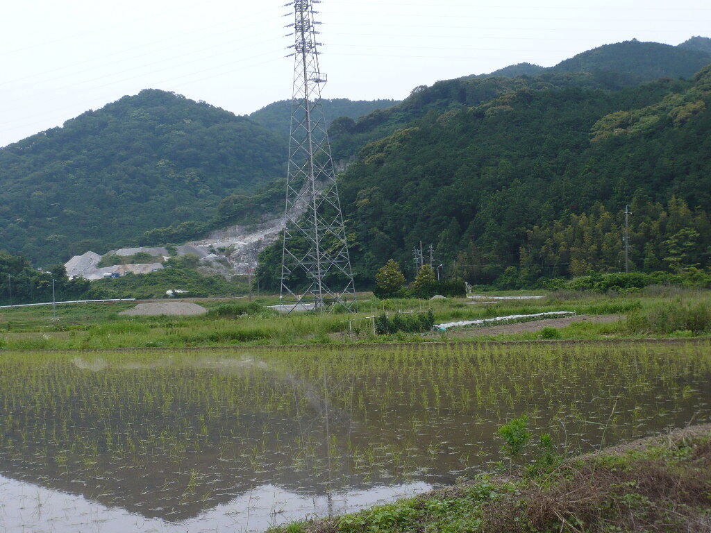 イメージ 3