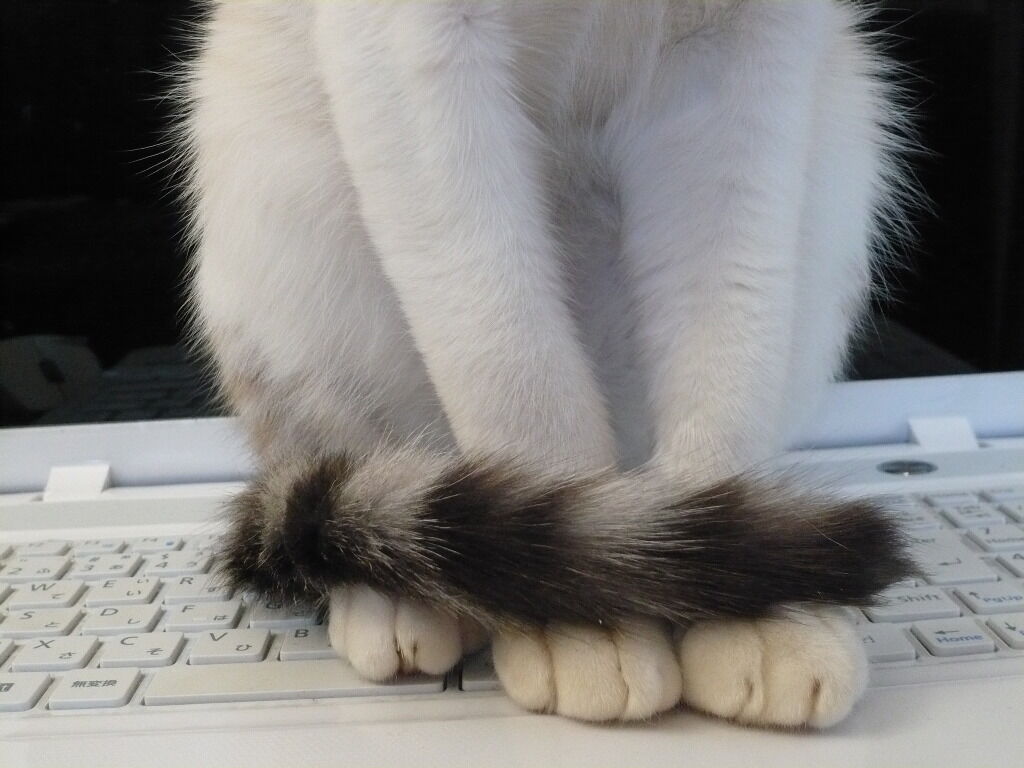 イメージ 2