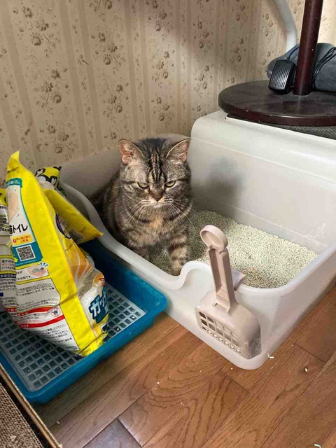 3EC23011-62AD-4172-89FD-D20D705A8CFB