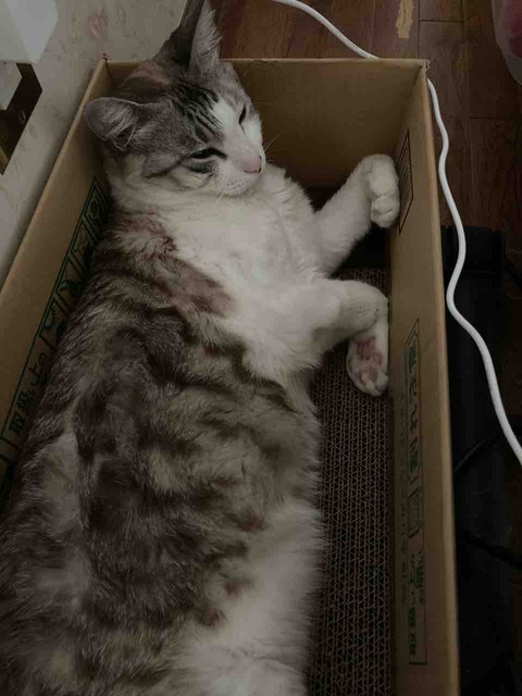 72CBFFCC-5E8C-4D60-9227-4F9AF822C400