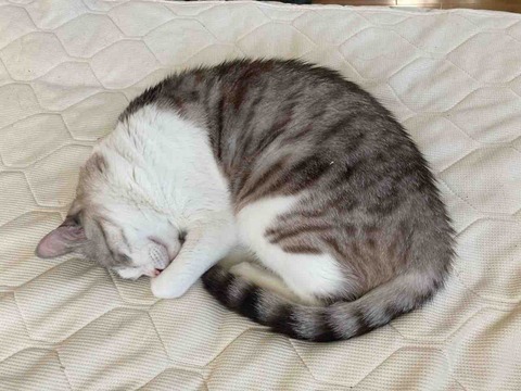 A28EF1B5-BCD7-4FED-8749-CEB4FCA03159