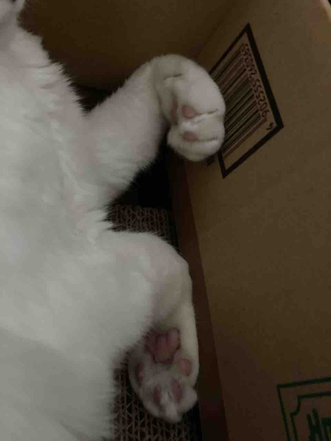 C95A0534-FEE8-4B51-8898-C3D7B6EE6683